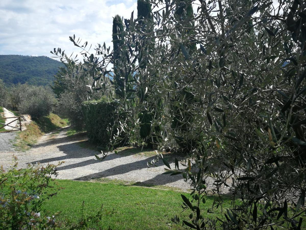 Villa Casa Marconi Vetriano Exterior foto