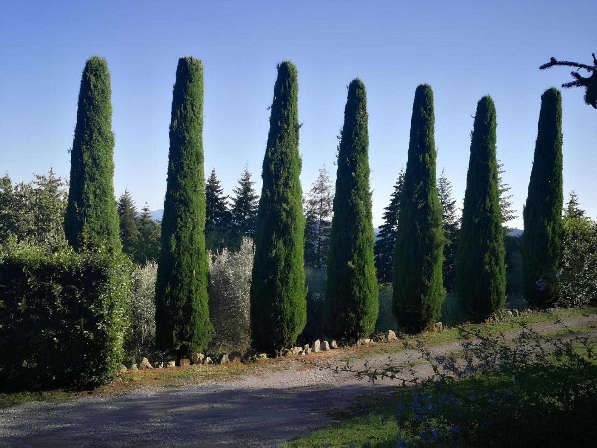 Villa Casa Marconi Vetriano Exterior foto